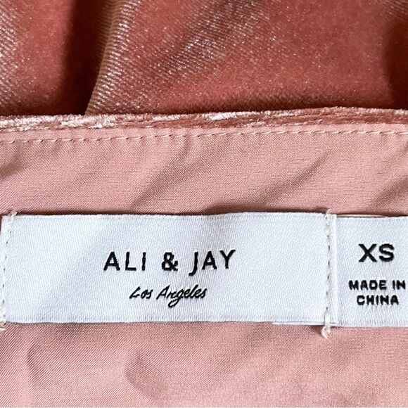 Ali & Jay Baby Love Velvet Wrap Dress XS Pink Mauve Surplice Tie Waist NWT - Picture 8 of 10